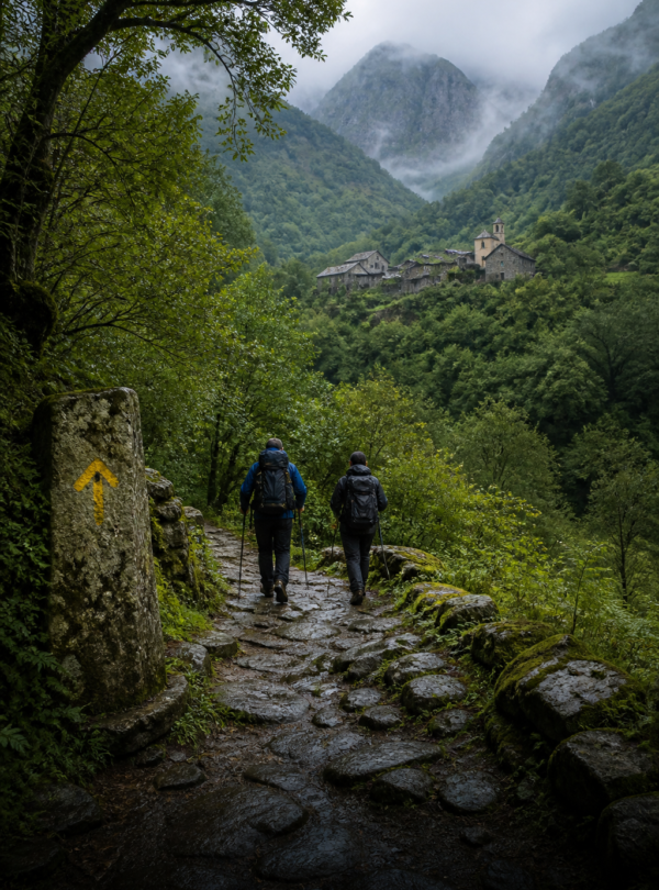 camino-primitivo-card